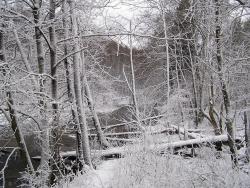 foto. Wojciech Ostapowicz