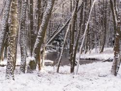 foto. Wojciech Ostapowicz