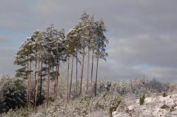 foto. Wojciech Ostapowicz