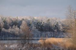 foto. Wojciech Ostapowicz