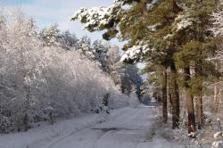foto. Wojciech Ostapowicz