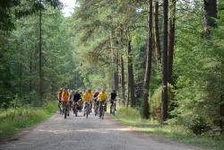 foto. Wojciech Ostapowicz