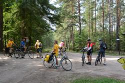 foto. Wojciech Ostapowicz