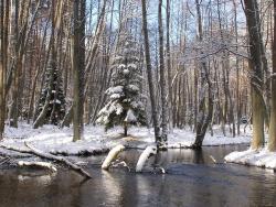 foto. Wojciech Ostapowicz