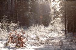 foto. Wojciech Ostapowicz
