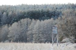 foto. Wojciech Ostapowicz