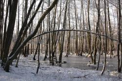 foto. Wojciech Ostapowicz