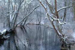 foto. Wojciech Ostapowicz