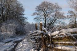 foto. Wojciech Ostapowicz